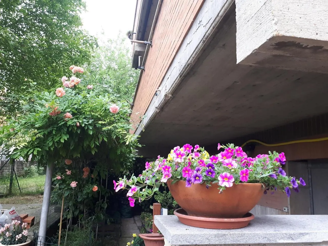 B&B Papa Leone Countryrooms Rome