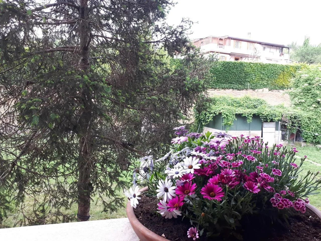 B&B Papa Leone Countryrooms Rome Bed & Breakfast