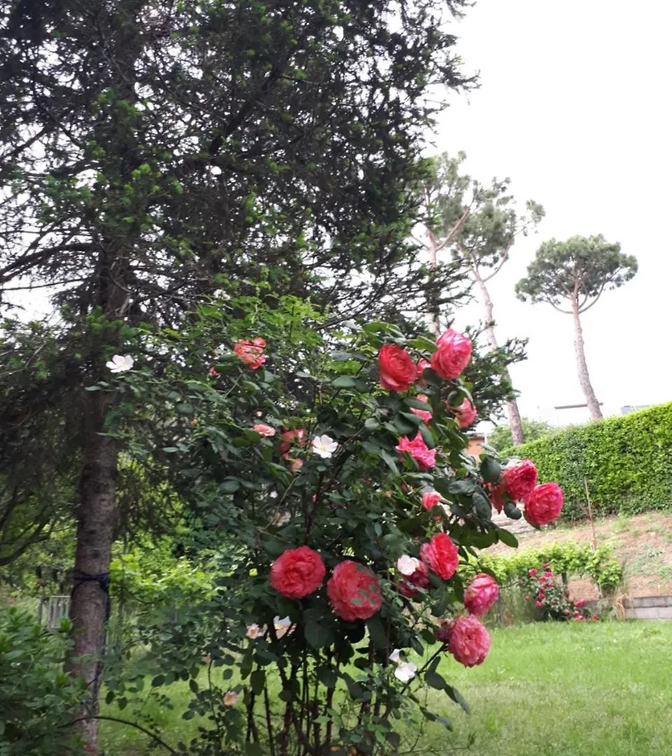 B&B Papa Leone Countryrooms Rome